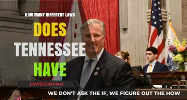 Tennessee's Unique Laws: A Comprehensive Overview