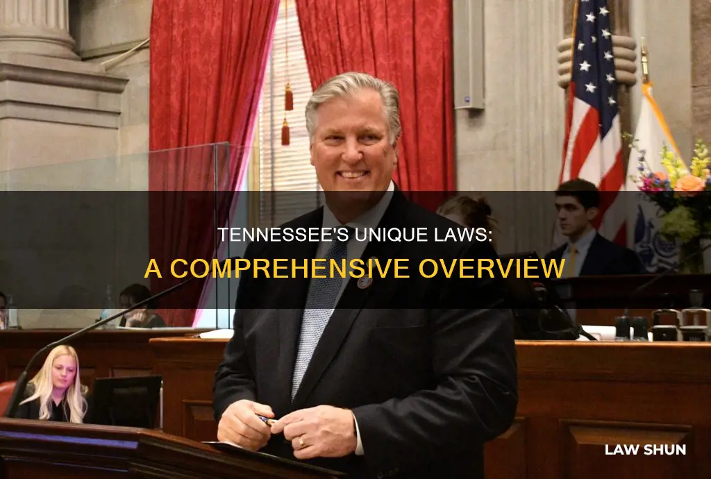 how many different laws does tennessee have