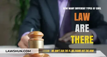 Civil Law: Exploring the Many Types and Their Diversity