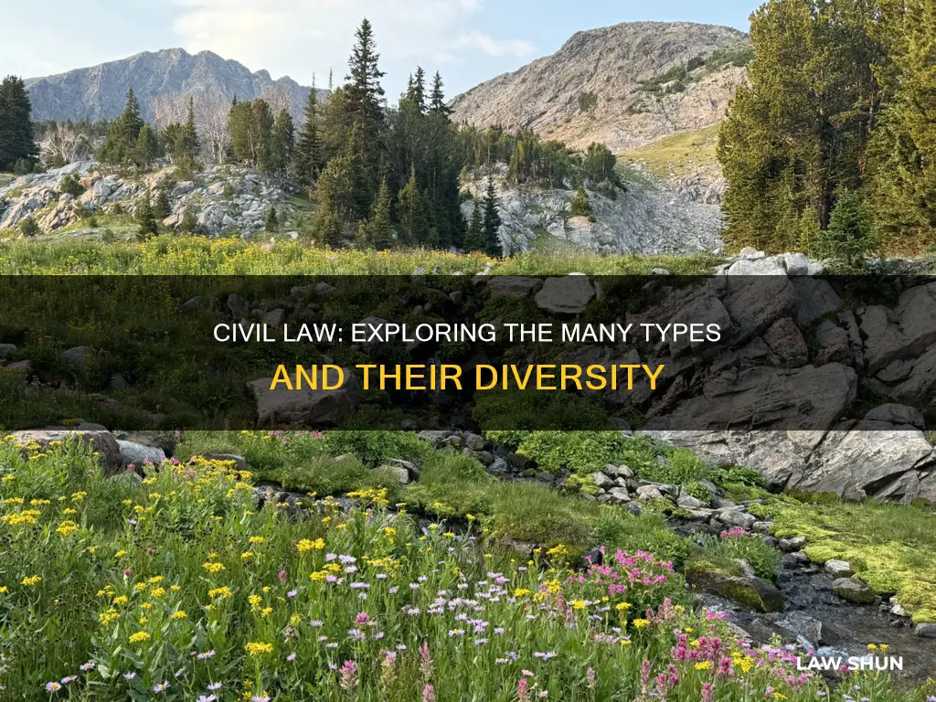 how many different types of civil law are there