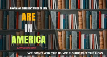 Exploring the Diverse Legal Landscape of America