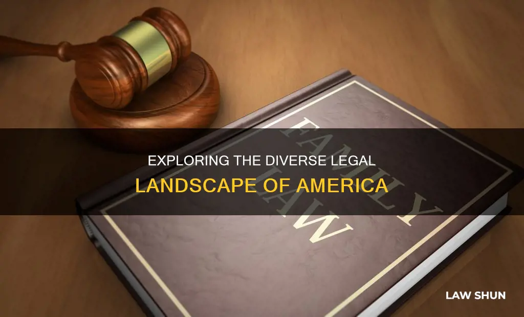 how many different types of law are in america