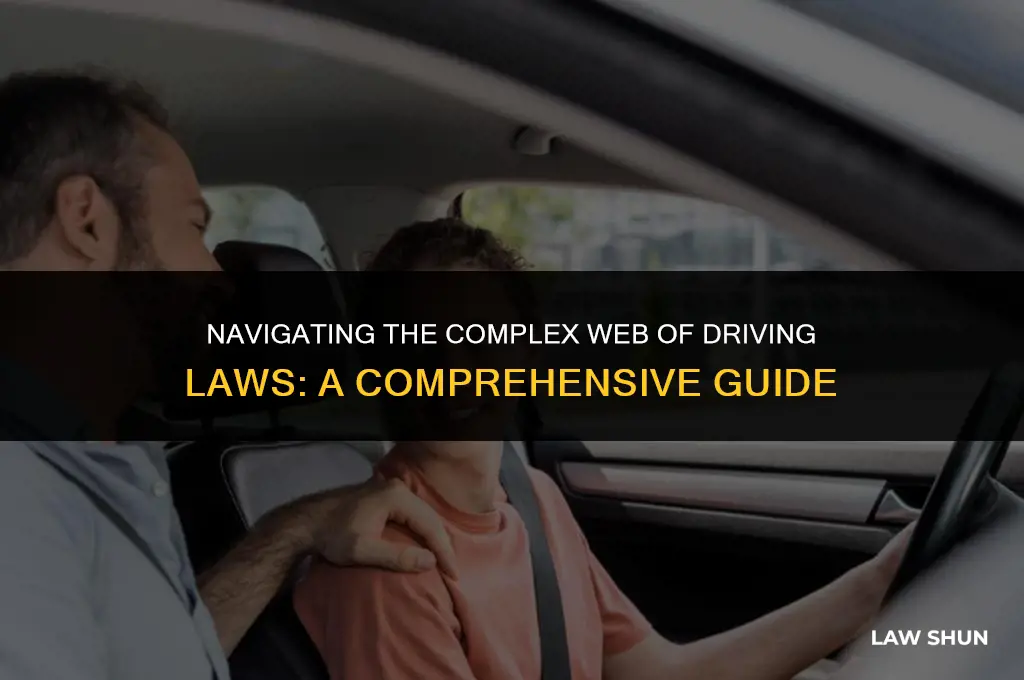 how many driving laws are there
