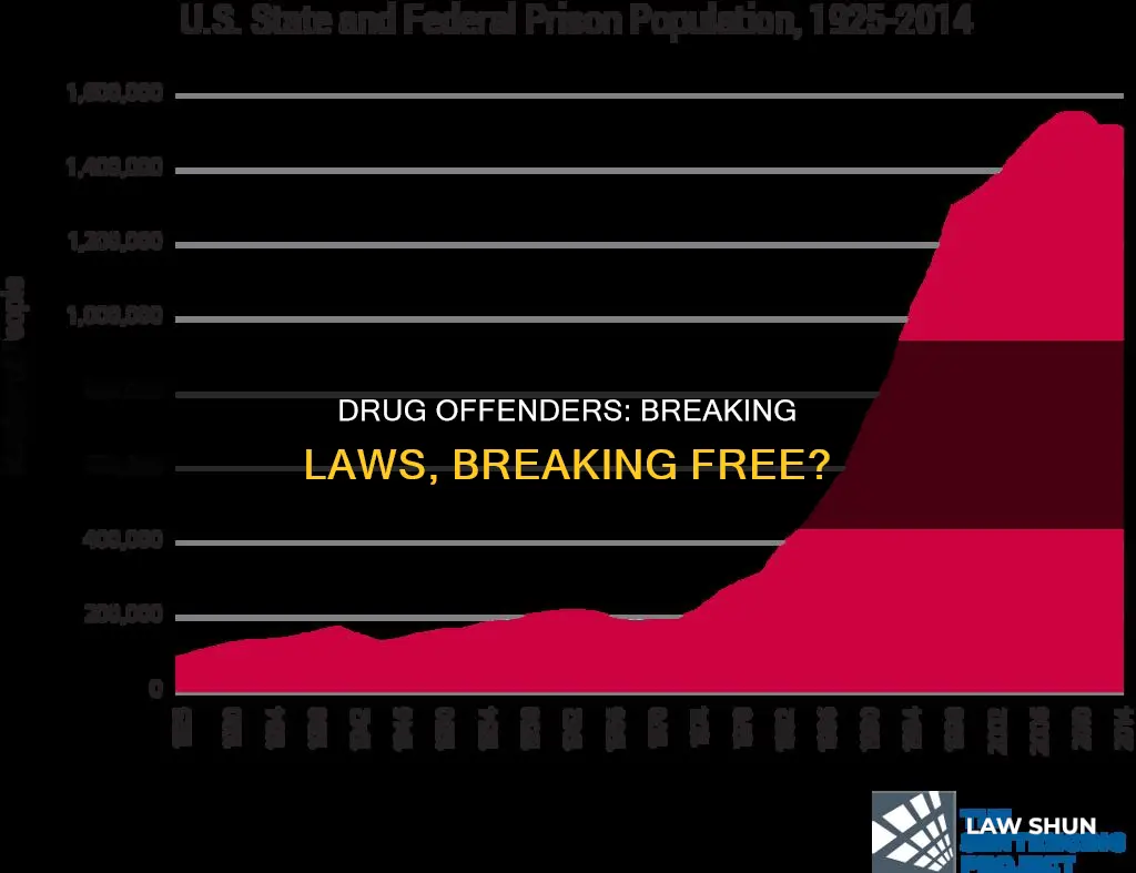 how many drug offenders in prison also break another law