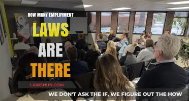 Navigating the Complex Landscape of Employment Legislation