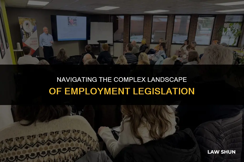 how many employment laws are there