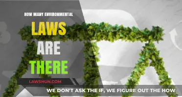 Exploring the Complex Web of Environmental Legislation: A Comprehensive Guide