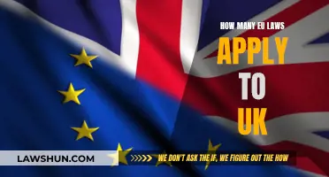 EU Laws in the UK: How Many Apply?