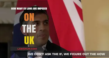 UK Laws: How Many Are Actually From the EU?