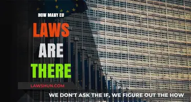 Exploring the Complex Web of EU Legislation: A Comprehensive Guide