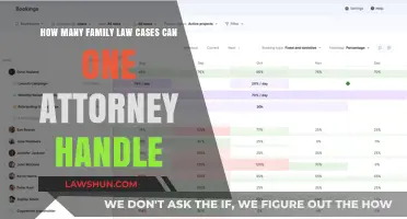 Family Law Attorneys: How Many Cases is Too Many?