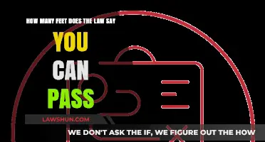 The Law and Safe Passing Distance