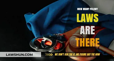 Understanding Felony Laws: A Comprehensive Guide to Criminal Offenses