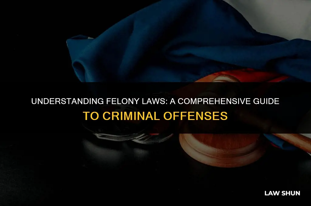 how many felony laws are there