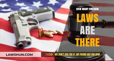 Exploring the Complex Landscape of Firearm Legislation