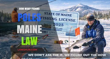 Understanding Maine's Fishing Pole Regulations: A Complete Guide