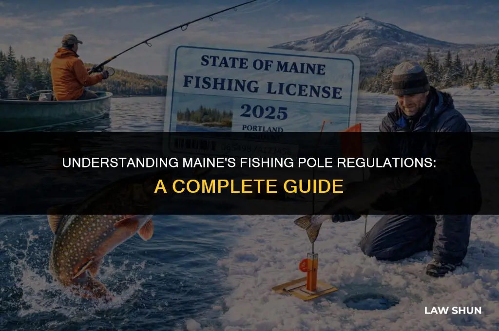 how many fishing poles maine law