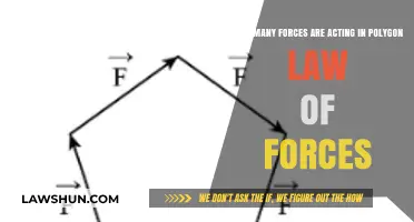 Understanding Forces in Polygon Law: How Many Are at Play?