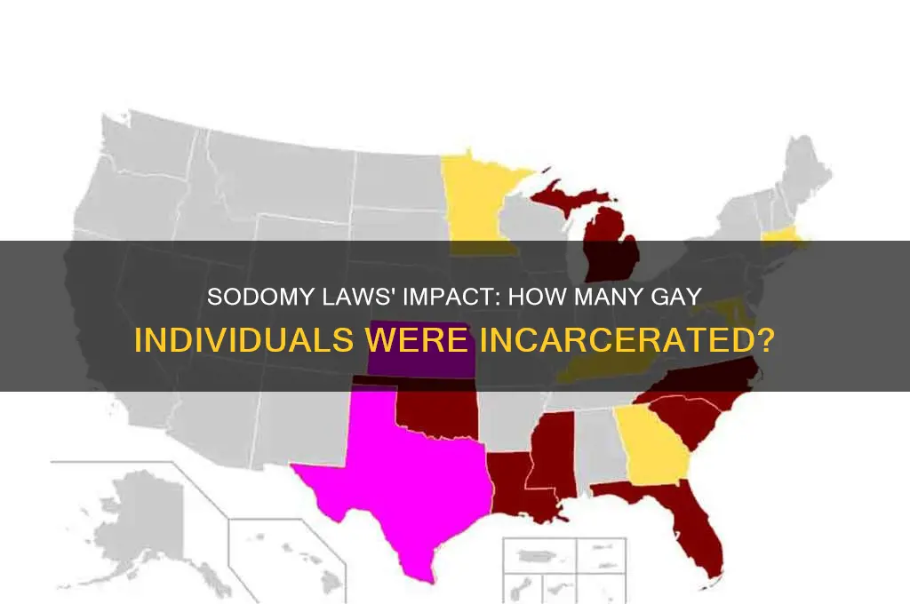 how many gay people went to jail sodomy laws