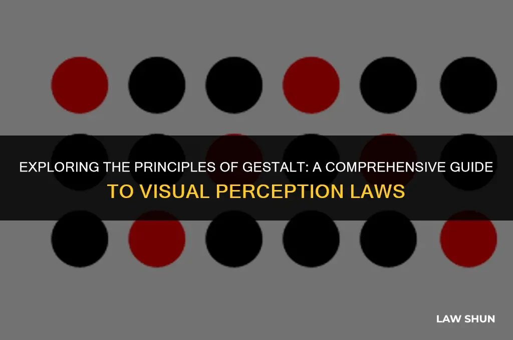 how many gestalt laws are there