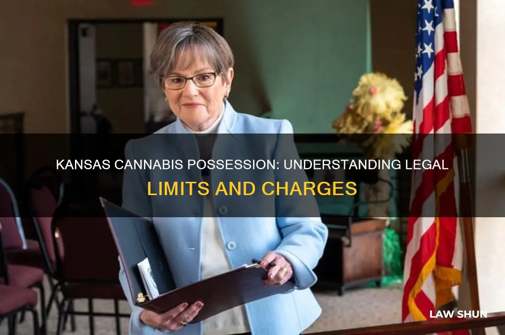 how many grams of pot in ks charge by law