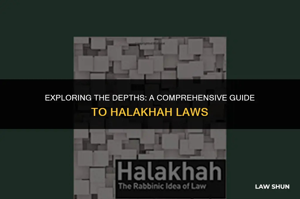 how many halakhah laws are there