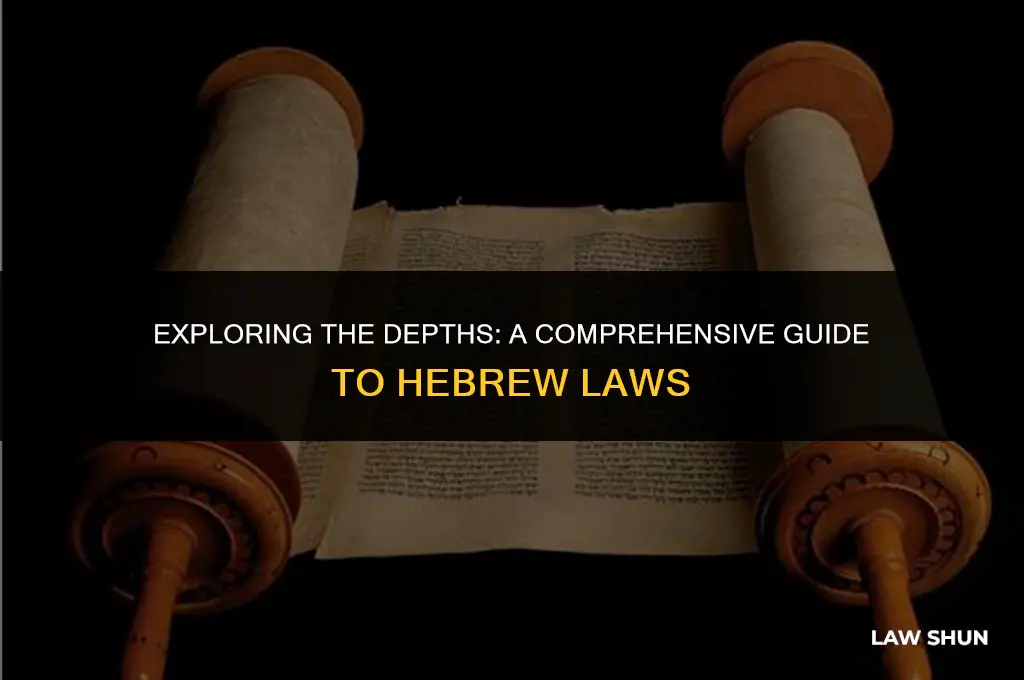 how many hebrew laws are there