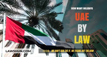 Understanding UAE Labor Law: A Guide to Statutory Holidays