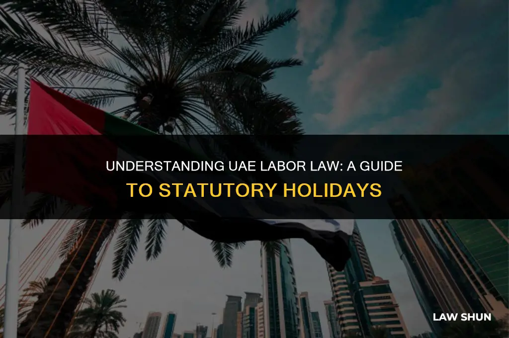 how many holidays uae by law
