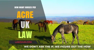 Ideal Horse Pasture: UK Law and Your Acreage