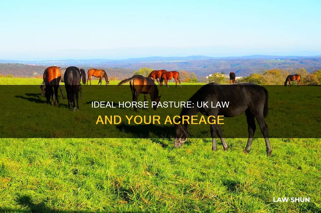 how many horses per acre uk law