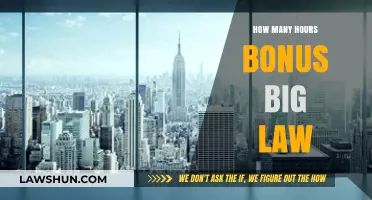 Decoding Big Law Bonuses: The Hourly Breakdown You Need to Know
