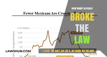 Understanding Illegal Immigration: A Closer Look at the Numbers