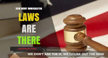Navigating the Complex Landscape of U.S. Immigration Laws
