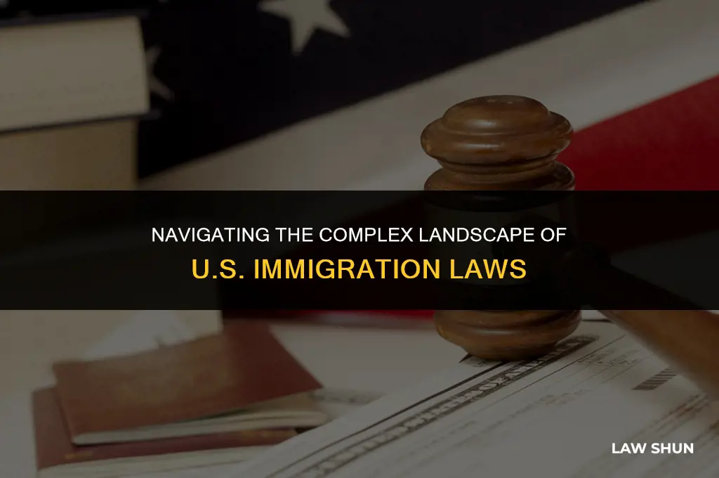 how many immigraiton laws are there