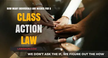 Class Action Lawsuits: Determining the Minimum Number of Plaintiffs Required