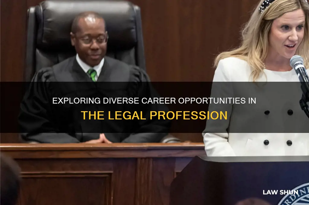 how many jobs do they offer for being a lawer