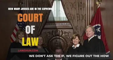Understanding the Supreme Court: Current Number of Judges Explained
