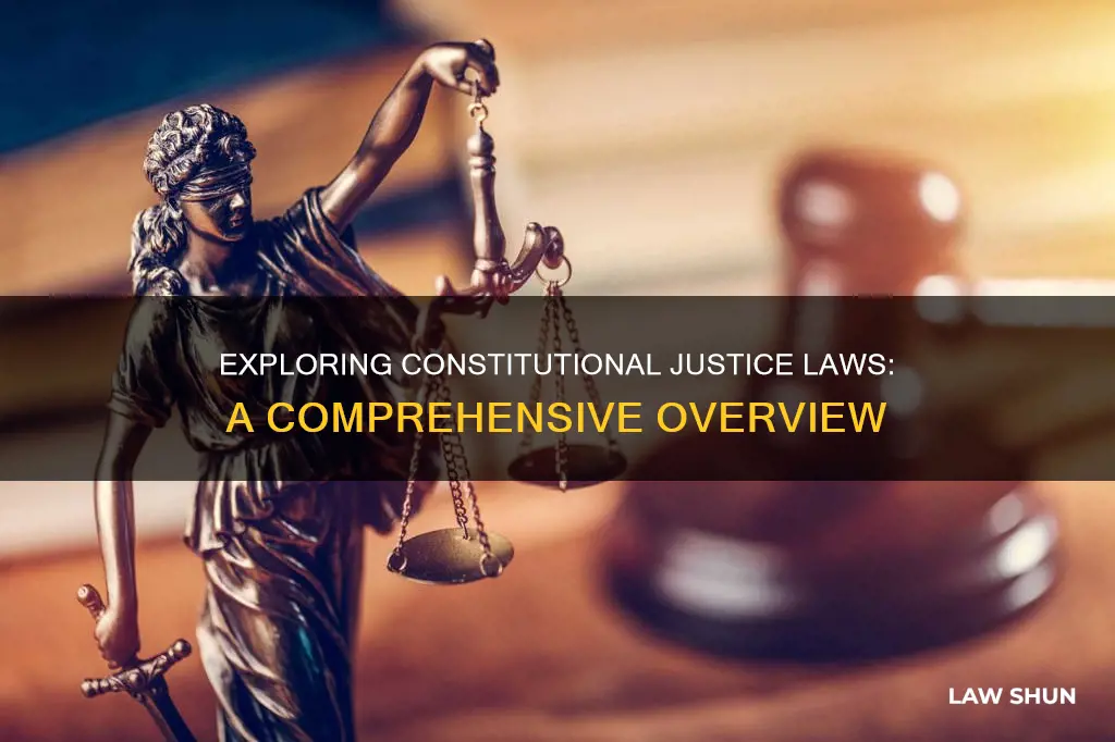how many justice law are on the constitution