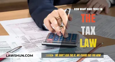 Trusts and Taxes: How Many Kinds of Trusts Exist?