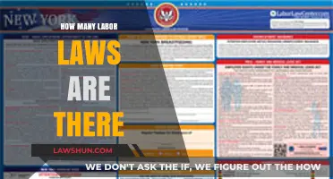 Understanding the Vast Landscape of Labor Laws: A Comprehensive Overview