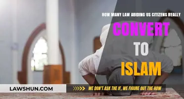Exploring the Reality of Law-Abiding US Citizens Converting to Islam