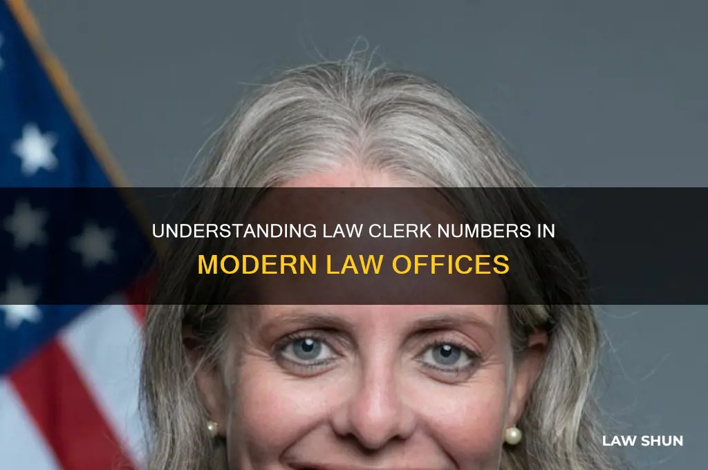 how many law clerks are at a law office