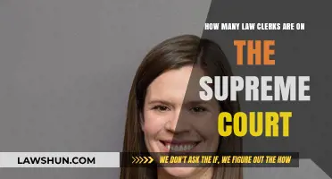 Understanding the Role and Number of Law Clerks at the Supreme Court