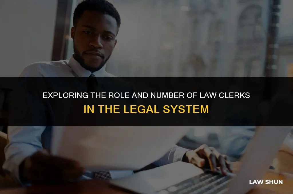 how many law clerks are there
