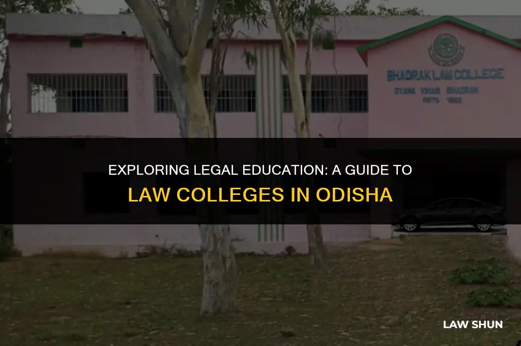 how many law college in odisha