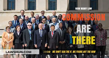 Exploring the Structure and Role of Law Commissions Worldwide