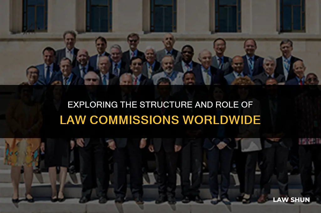 how many law commission are there