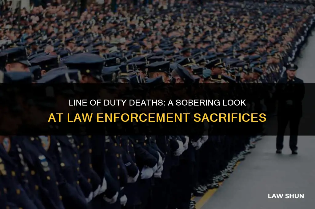 how many law enforceneny oggicers die