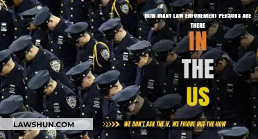 Exploring the Scale of US Law Enforcement Personnel Numbers